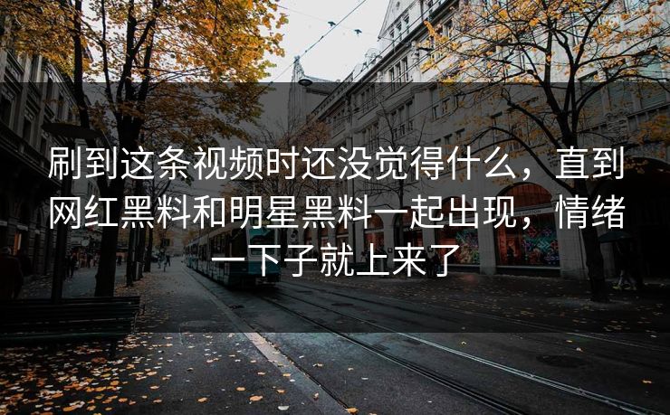 刷到这条视频时还没觉得什么，直到网红黑料和明星黑料一起出现，情绪一下子就上来了  第1张