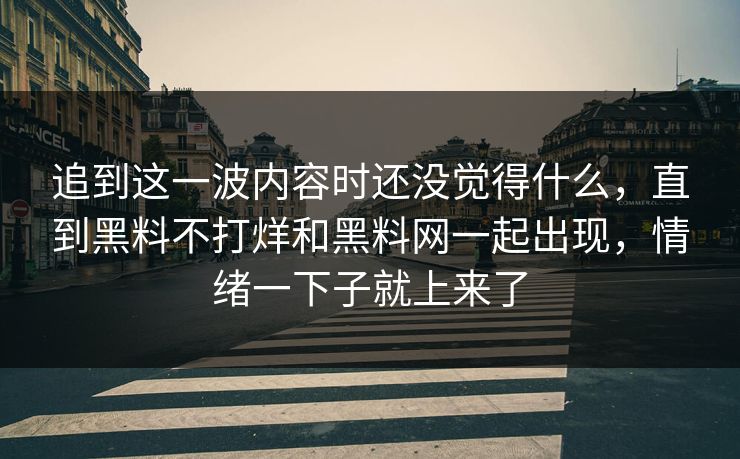追到这一波内容时还没觉得什么，直到黑料不打烊和黑料网一起出现，情绪一下子就上来了