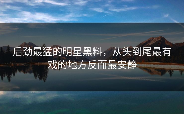 后劲最猛的明星黑料，从头到尾最有戏的地方反而最安静