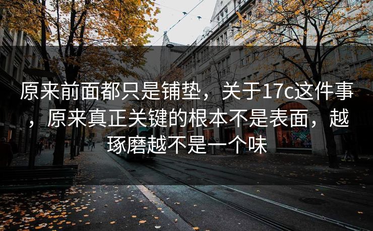原来前面都只是铺垫，关于17c这件事，原来真正关键的根本不是表面，越琢磨越不是一个味