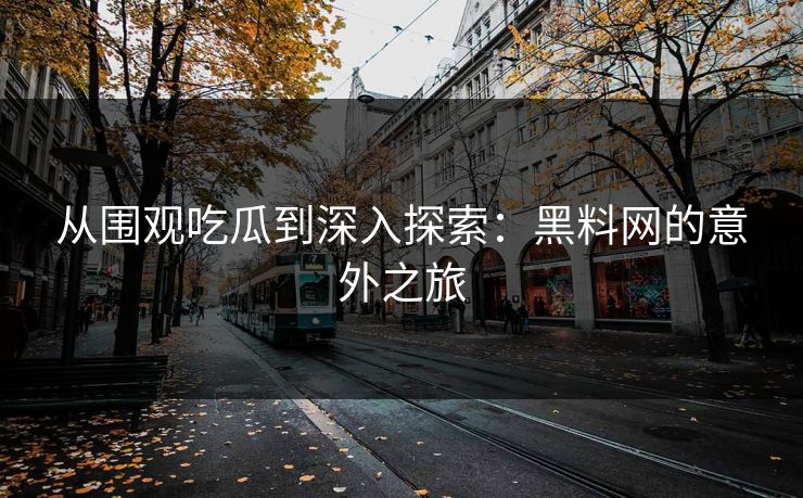 从围观吃瓜到深入探索：黑料网的意外之旅