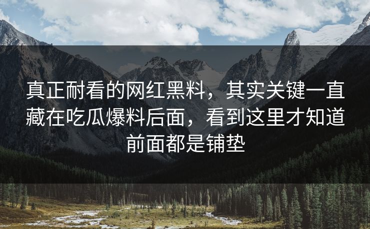 真正耐看的网红黑料，其实关键一直藏在吃瓜爆料后面，看到这里才知道前面都是铺垫