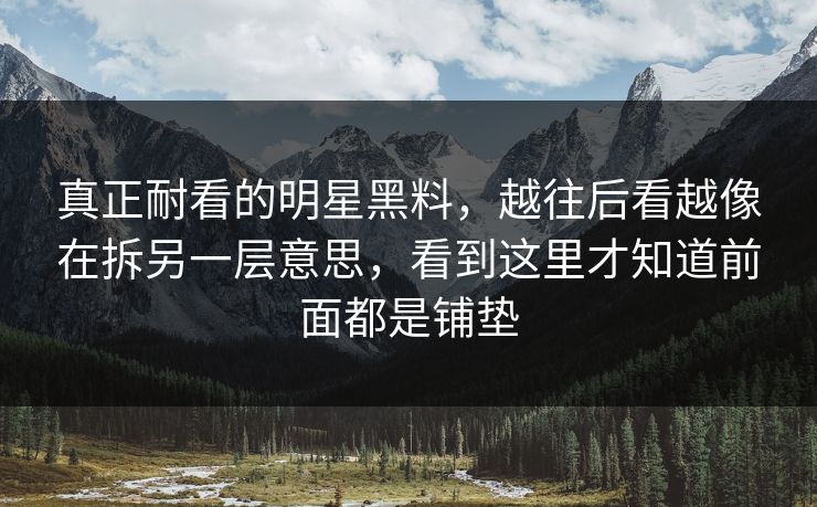 真正耐看的明星黑料，越往后看越像在拆另一层意思，看到这里才知道前面都是铺垫