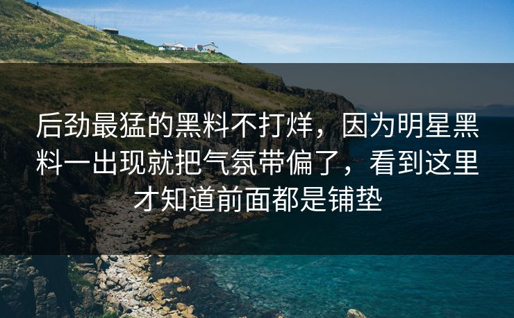 后劲最猛的黑料不打烊，因为明星黑料一出现就把气氛带偏了，看到这里才知道前面都是铺垫  第1张
