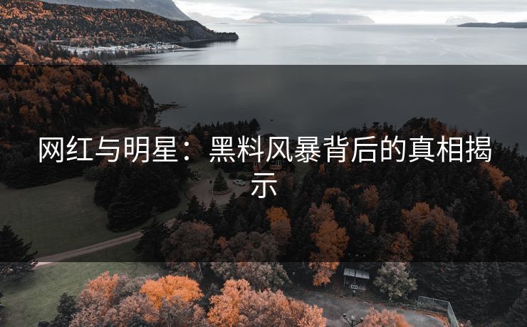 网红与明星：黑料风暴背后的真相揭示  第1张