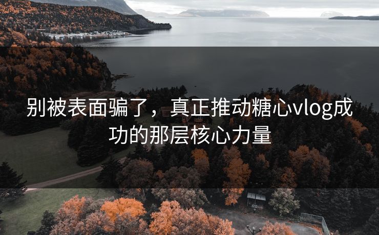 别被表面骗了，真正推动糖心vlog成功的那层核心力量