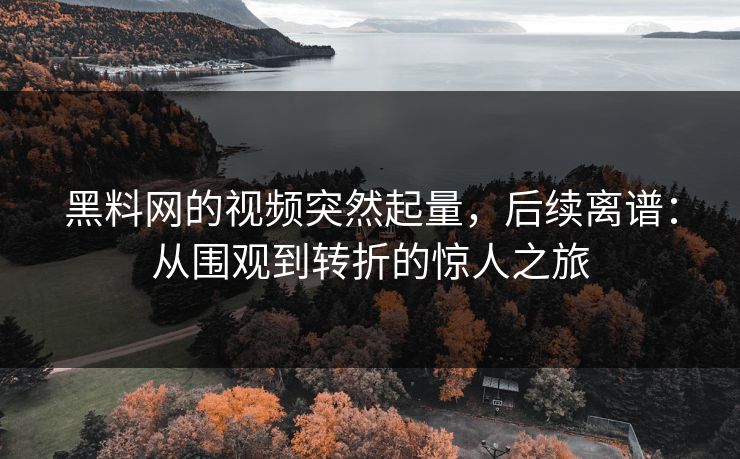 黑料网的视频突然起量，后续离谱：从围观到转折的惊人之旅