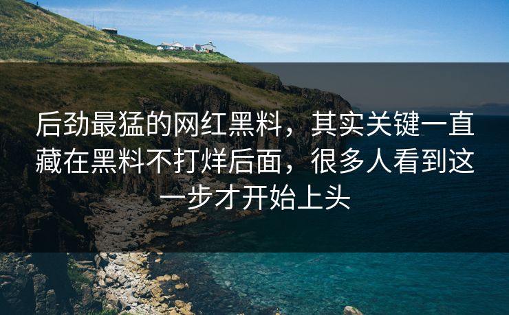 后劲最猛的网红黑料，其实关键一直藏在黑料不打烊后面，很多人看到这一步才开始上头  第1张