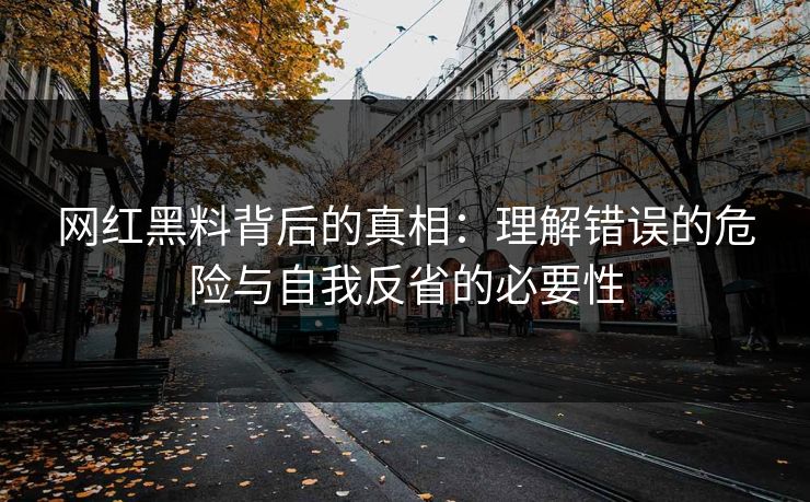 网红黑料背后的真相：理解错误的危险与自我反省的必要性  第1张