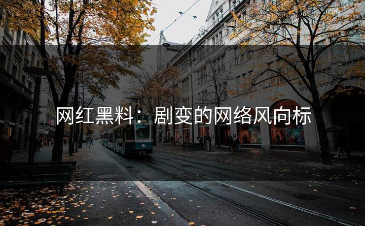 网红黑料：剧变的网络风向标  第1张