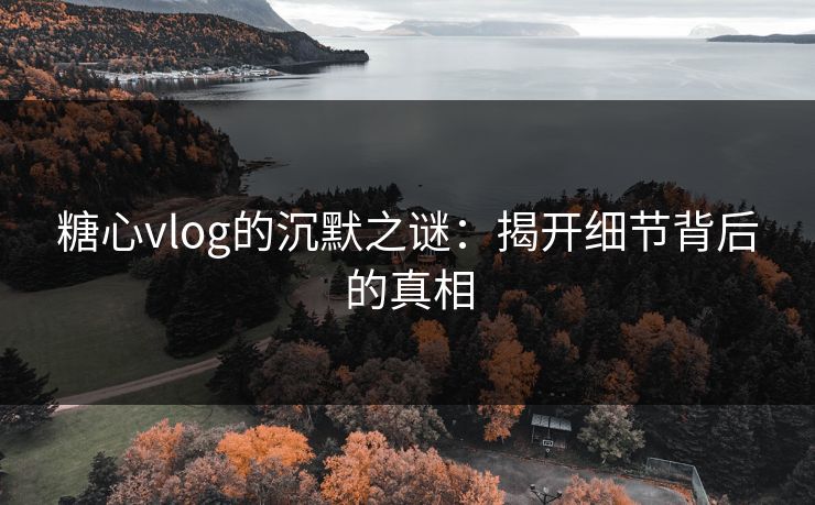 糖心vlog的沉默之谜：揭开细节背后的真相  第1张