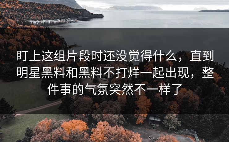 盯上这组片段时还没觉得什么，直到明星黑料和黑料不打烊一起出现，整件事的气氛突然不一样了