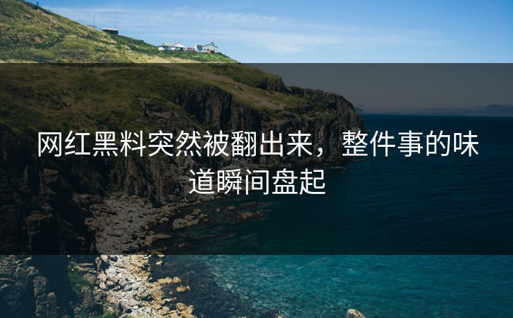 网红黑料突然被翻出来，整件事的味道瞬间盘起